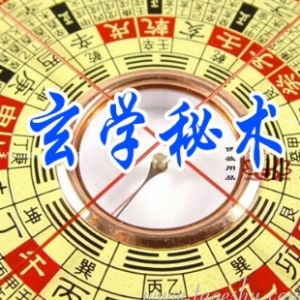 〖创富书库〗《太易正宗》 